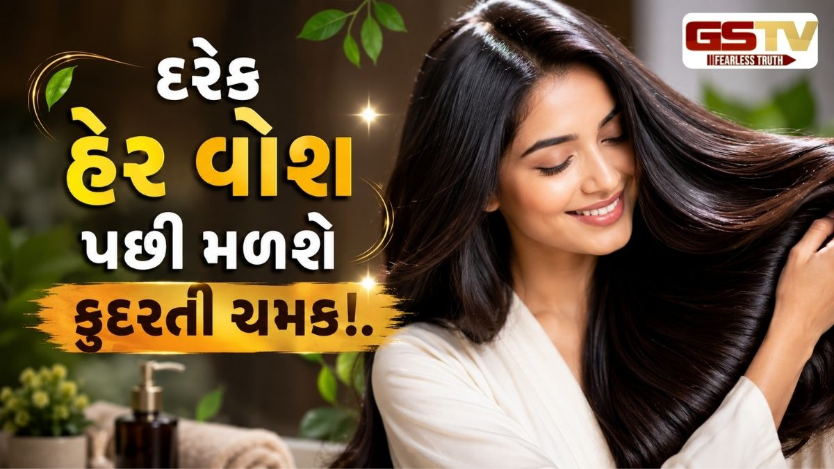 Hair care : આ હેર માસ્ક વાળને બનાવશે રેશમી, મુલાયમ અને ચમકદાર, પાર્લરના મોંઘા સ્પાની નહીં પડે જરૂર!
