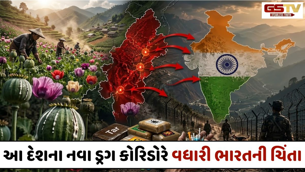 દુનિયામાં સૌથી વધુ અફીણનું ઉત્પાદન થાય છે આ દેશમાં! નવા ડ્રગ કોરિડોરે વધારી ભારતની ચિંતા; આતંક અને નશાનો મોટો ખતરો