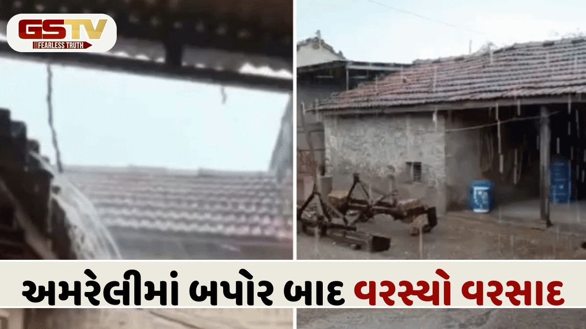 Amreli News: બપોર બાદ વાતાવરણમાં આવ્યો પલટો, ખાંભા-સાવરકુંડલા સહિતના વિસ્તારોમાં વરસ્યા મેઘરાજા