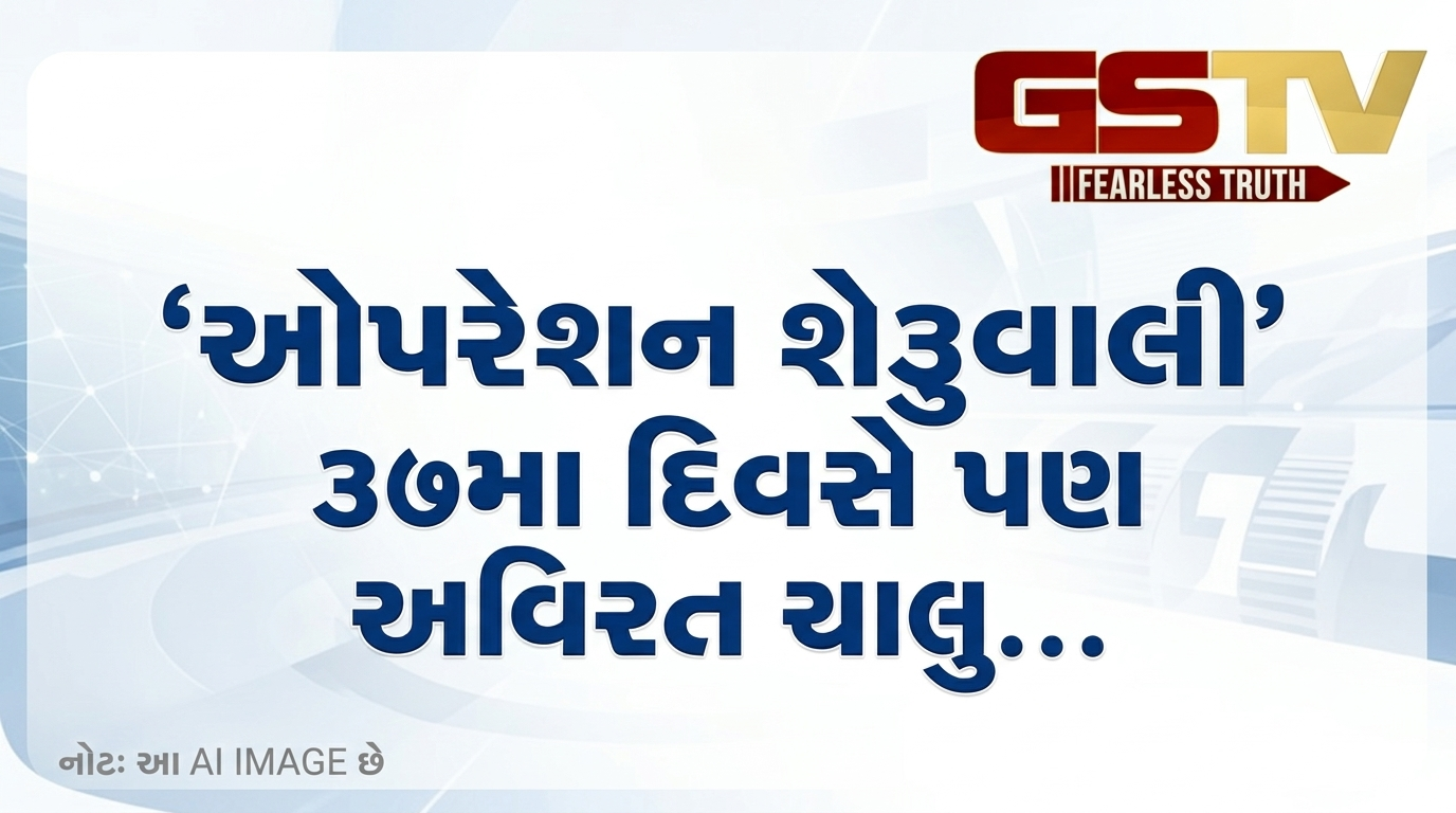 VIDEO: ઓપરેશન શેરુવાલી' ૩૭મા દિવસે પણ અવિરત ચાલુ