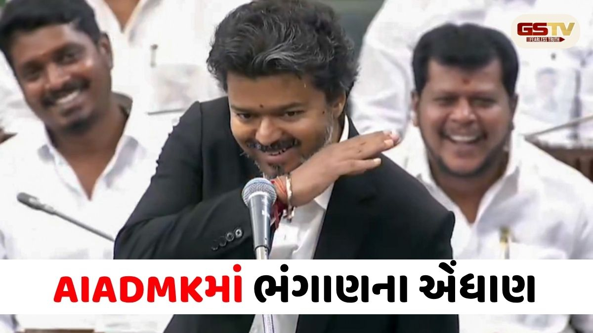 તામિલનાડુમાં મોટો રાજકીય ઉલટફેર: AIADMK તૂટવાના આરે; દિગ્ગજ નેતાઓ અભિનેતા વિજયની પાર્ટી 'TVK'માં જોડાશે!