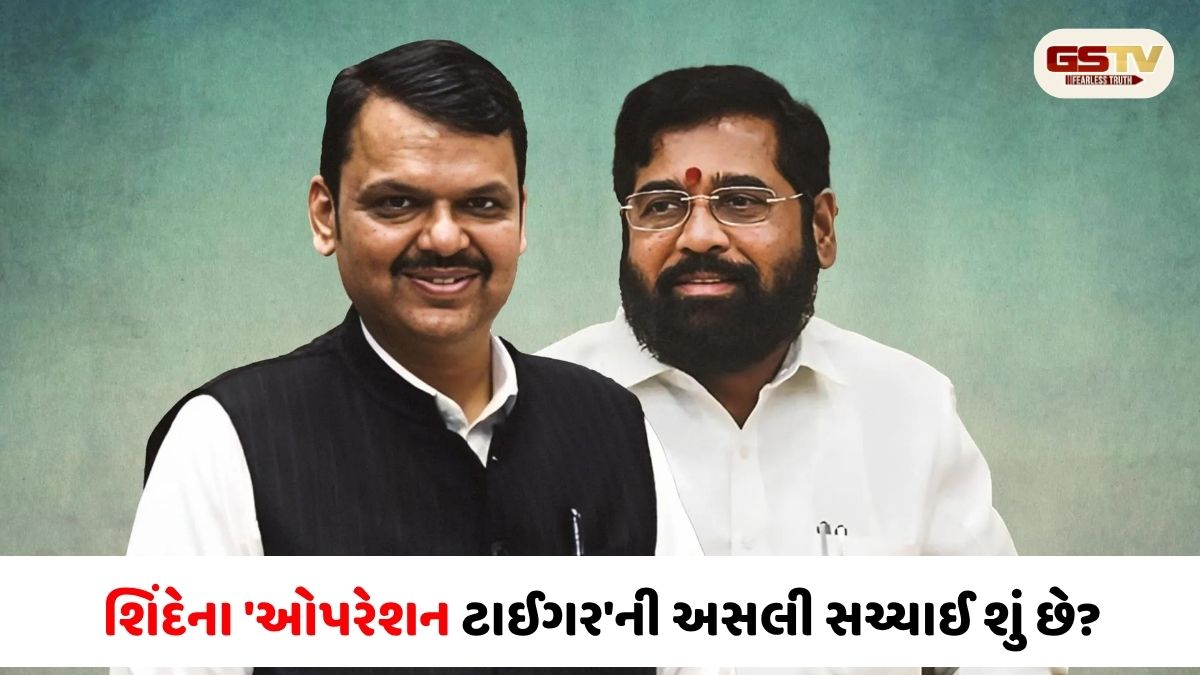 VIDEO: ઓપરેશન ટાઈગર કે ઓપરેશન ફડણવીસ? બહુમતીના બહાને શિંદે અસલી નિશાન સાધી રહ્યા હોવાની ચર્ચા!
