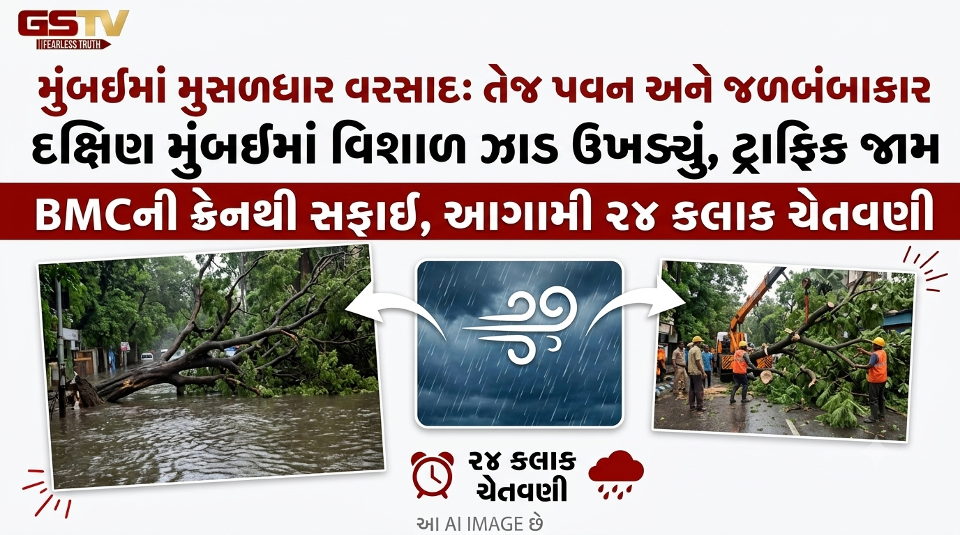VIDEO: સતત વરસી રહેલા મુસળધાર વરસાદ અને તેજ પવનોને કારણે મુંબઈના વ્યસ્ત એવા ચર્ચગેટ સ્ટેશન નજીક એક વિશાળ ઝાડ જમીનમાંથી ઉખડીને રસ્તા પર તૂટી પડ્યું હતું