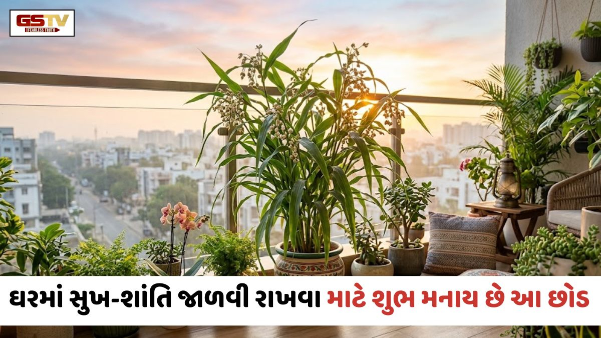 Religion: ભગવાન શ્રીકૃષ્ણને પ્રિય એવો આ છોડ ઘરમાં લાવશે સુખ-સમૃદ્ધિ, જાણો વાસ્તુ નિયમો અને સાચી દિશા