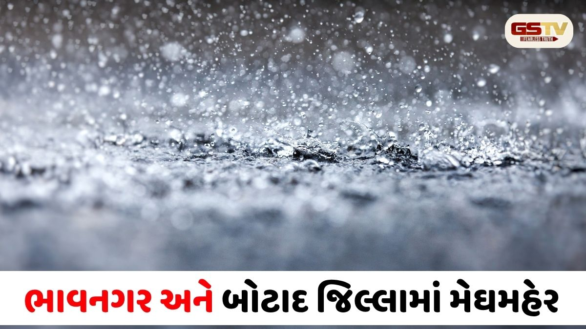 ભાવનગર અને બોટાદ જિલ્લામાં મેઘમહેર: ૫ તાલુકાઓમાં વરસ્યું 'કાચું સોનું', ગઢડામાં ૨ ઇંચ વરસાદથી ધરતીપુત્રો ખુશ