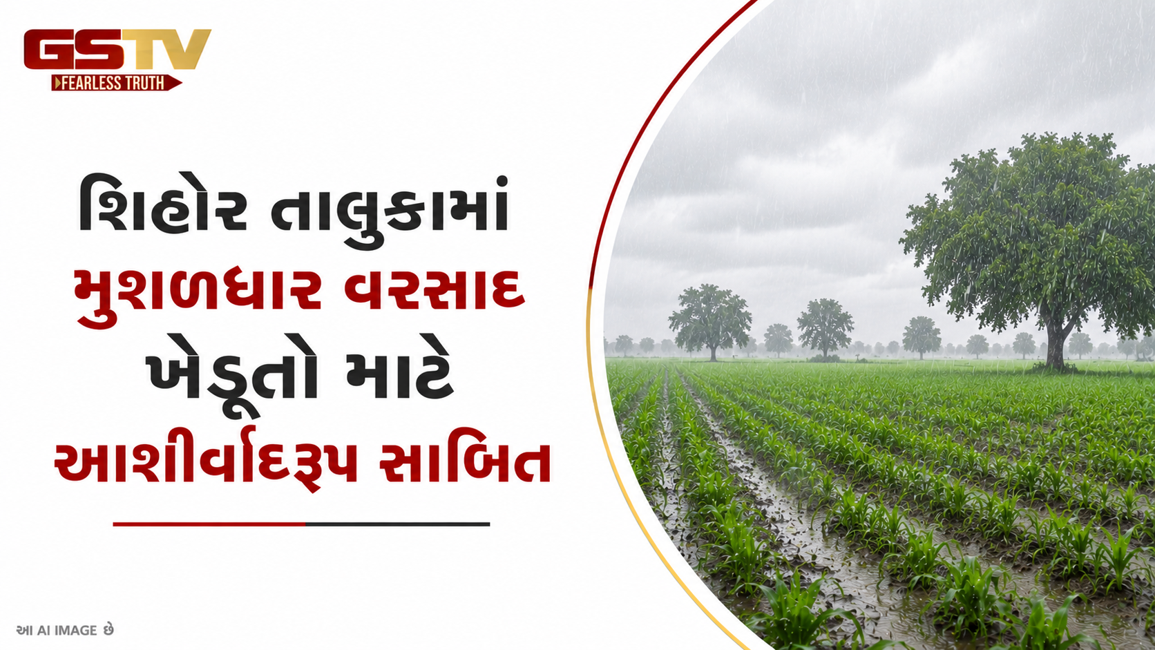 VIDEO: ભાવનગરના શિહોર પંથકમાં મુશળધાર વરસાદ: વાવણીલાયક વરસાદ પડતાં જ ધરતીપુત્રોમાં ખુશીની લહેર!
