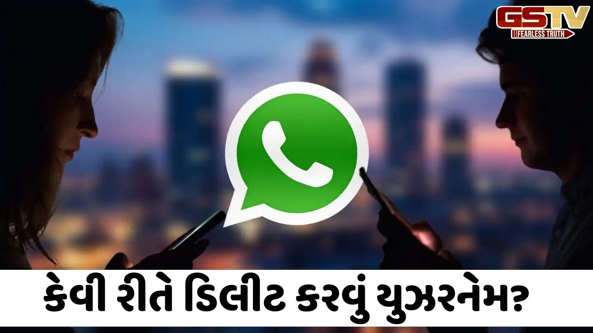 સરકારે WhatsApp ના જે Username ફીચર પર રોક લગાવી છે તેને આ રીતે કરો Delete, ખૂબ જ સરળ છે રીત