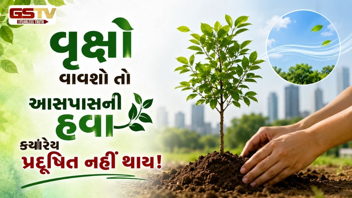 VIDEO: કુદરતના અણમોલ રત્નો : આ 6 વૃક્ષો આપે છે સૌથી વધુ ઓક્સિજન, તમારા ઘરમાં આજે જ વાવો!
