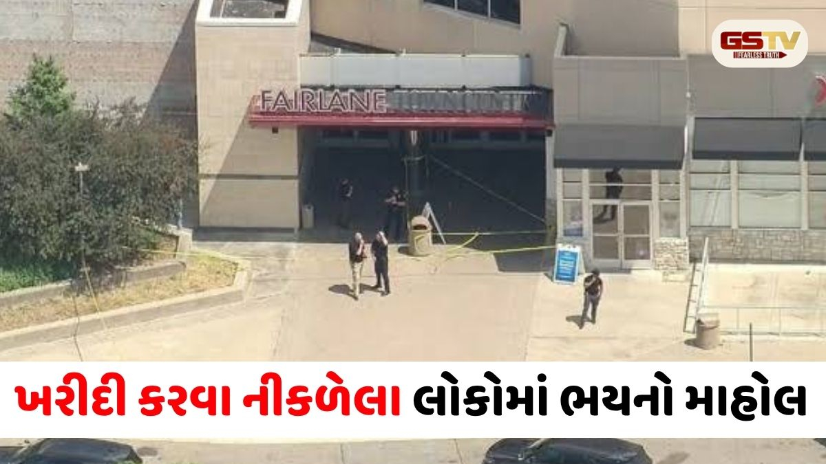 અમેરિકાના મિશિગનમાં અંધાધૂંધ ગોળીબાર: બે નિર્દોષ નાગરિકોના કરુણ મોત