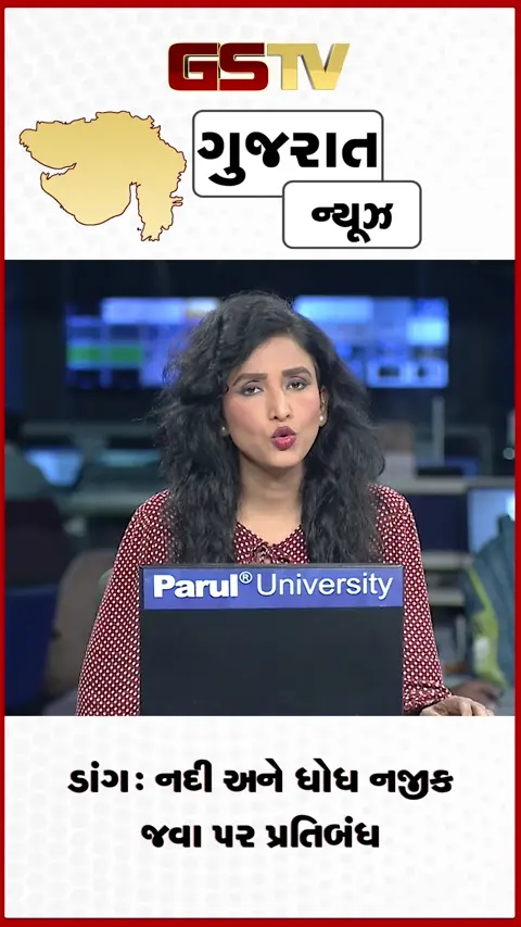 VIDEO: ડાંગ: નદી અને ધોધ નજીક જવા પર પ્રતિબંધ.