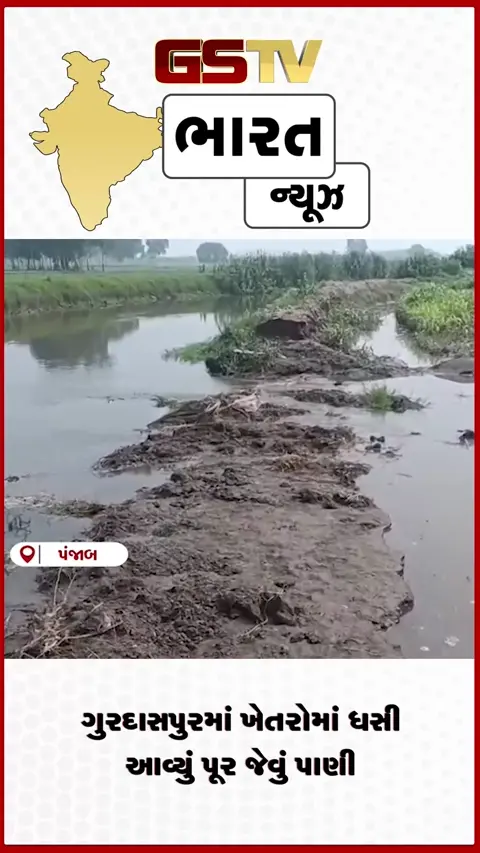 VIDEO: ગુરદાસપુરમાં ખેતરોમાં ધસી આવ્યું પૂર જેવું પાણી