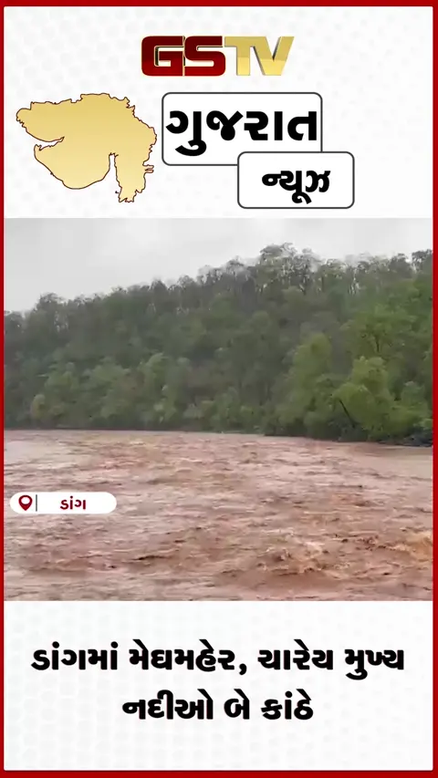 VIDEO: ડાંગમાં વરસાદી કહેર, પૂર્ણા-અંબિકા સહિત 4 નદીઓ બે કાંઠે