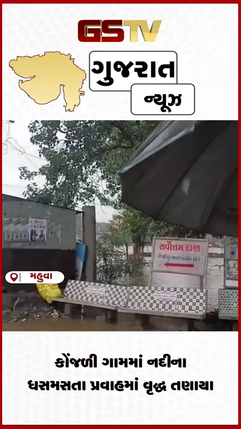 VIDEO: મહુવાના કોંજળી ગામમાં નદીના ધસમસતા પ્રવાહમાં વૃદ્ધ તણાયા
