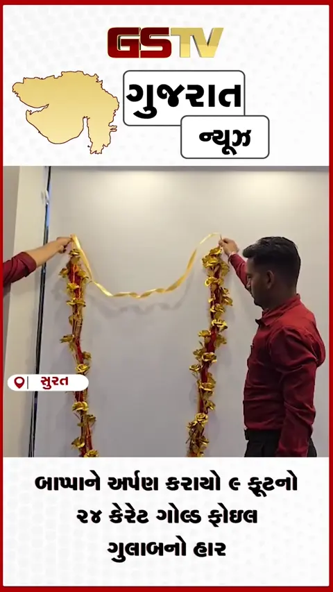 VIDEO: સુરતમાં ગણેશોત્સવની ભવ્ય શરૂઆત,બાપ્પાને અર્પણ કરાયો ૯ ફૂટનો ૨૪ કેરેટ ગોલ્ડ ફોઇલ ગુલાબનો હાર