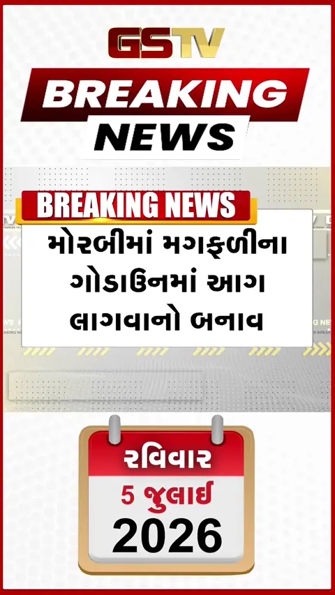 VIDEO: મોરબીમાં મગફળીના ગોડાઉનમાં ભીષણ આગ: કરોડોનું નુકસાન, ૨૦ કલાકથી જહેમત જારી