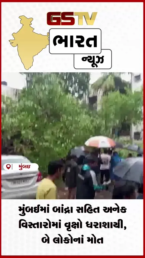 VIDEO: મુંબઈમાં બાંદ્રા સહિત અનેક વિસ્તારોમાં વૃક્ષો ધરાશાયી, બે લોકોનાં મોત