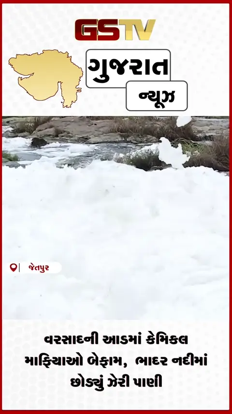 VIDEO: રાજકોટ: વરસાદની આડમાં કેમિકલ માફિયાઓ બેફામ,  ભાદર નદીમાં છોડ્યું ઝેરી પાણી