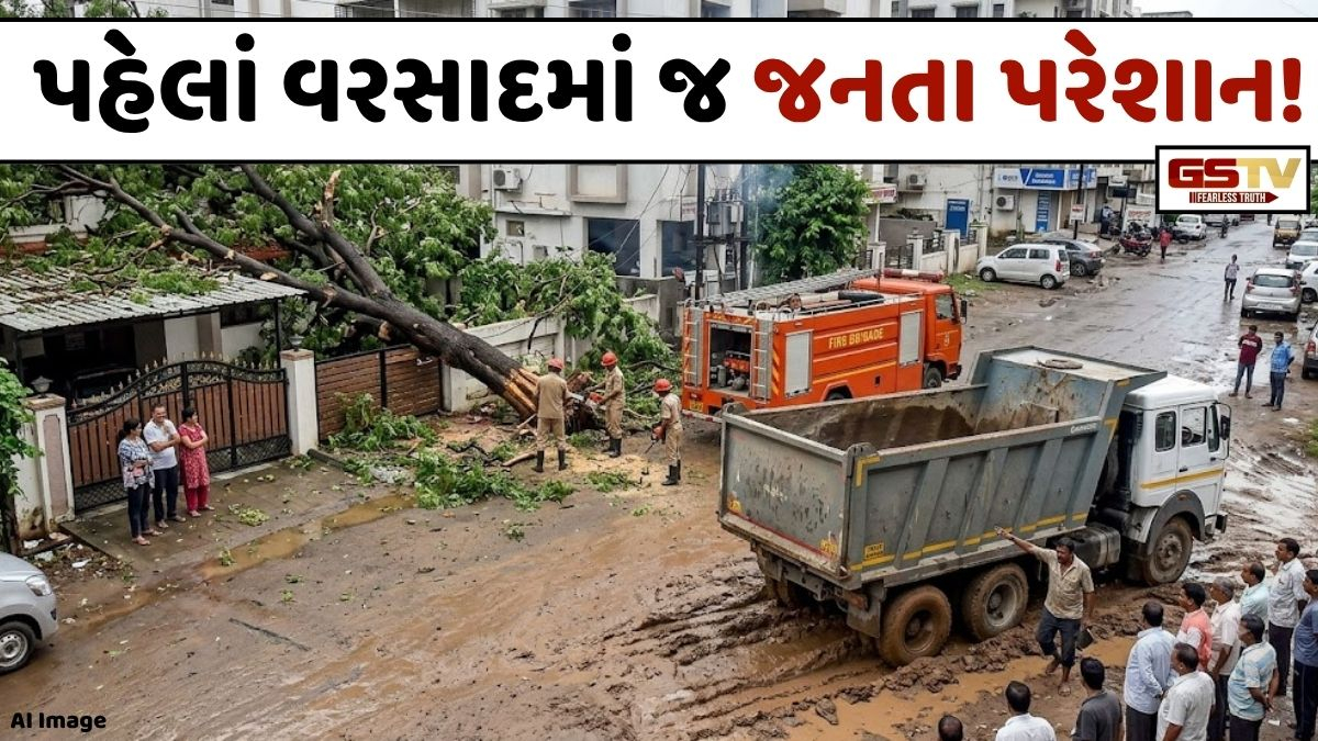 વડોદરામાં પહેલાં જ વરસાદમાં તંત્રની કામગીરી સામે ઉઠ્યા સવાલ! ક્યાંક વૃક્ષ પડ્યું તો ક્યાંક ડમ્પર ફસાયું