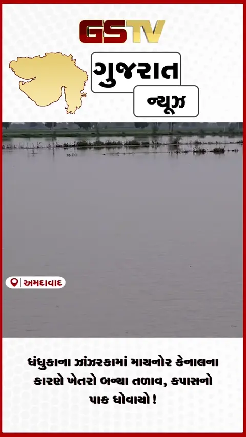 VIDEO: ધંધુકાના ઝાંઝરકામાં માયનોર કેનાલના કારણે ખેતરો બન્યા તળાવ, કપાસનો પાક ધોવાયો!