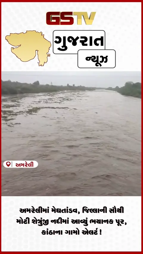 VIDEO: અમરેલીમાં મેઘતાંડવ, જિલ્લાની સૌથી મોટી શેત્રુંજી નદીમાં આવ્યું ભયાનક પૂર, કાંઠાના ગામો એલર્ટ!