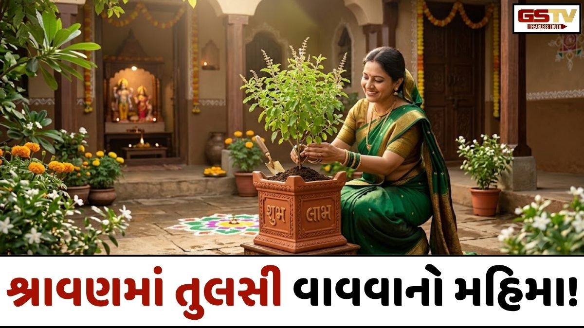 Religion: શ્રાવણમાં તુલસી વાવવાનો મહિમા: ઘર આવશે સુખ-સમૃદ્ધિ અને લક્ષ્મીજીના આશીર્વાદ!