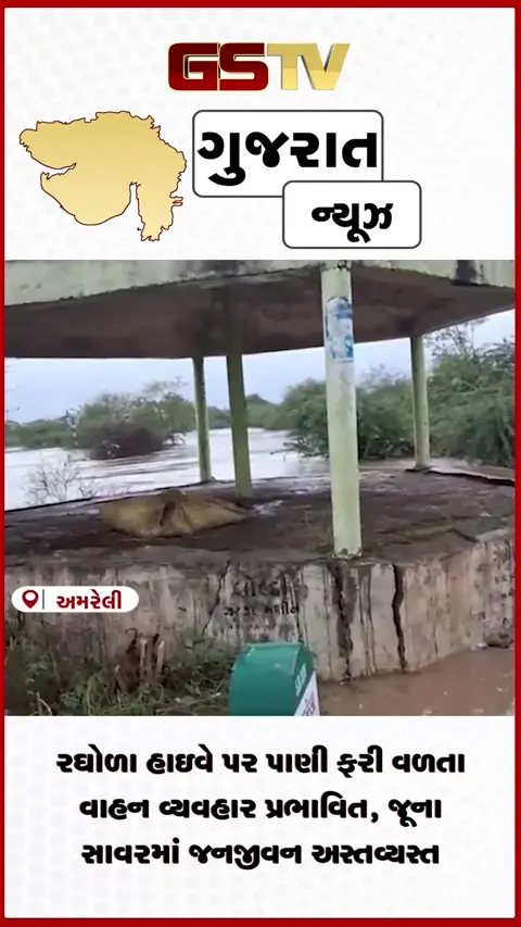 VIDEO: અમરેલીમાં મેઘમહેર શેલ અને શેત્રુંજી નદી ગાંડીતૂર અનેક વિસ્તારોમાં પાણી ભરાયા