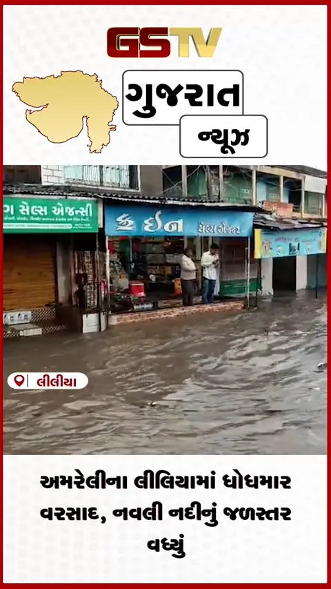 VIDEO: અમરેલીના લીલિયામાં ધોધમાર વરસાદ, નવલી નદીનું જળસ્તર વધ્યું