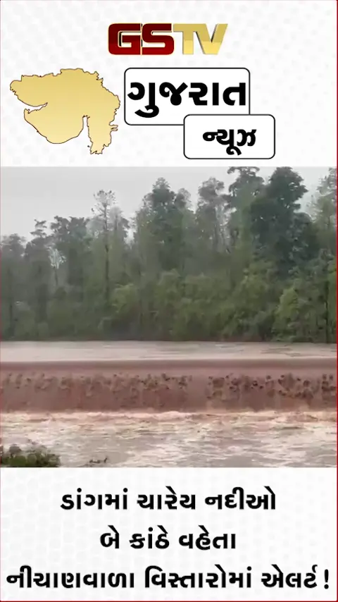 VIDEO: ડાંગમાં ચારેય નદીઓ બે કાંઠે વહેતા નીચાણવાળા વિસ્તારોમાં એલર્ટ!