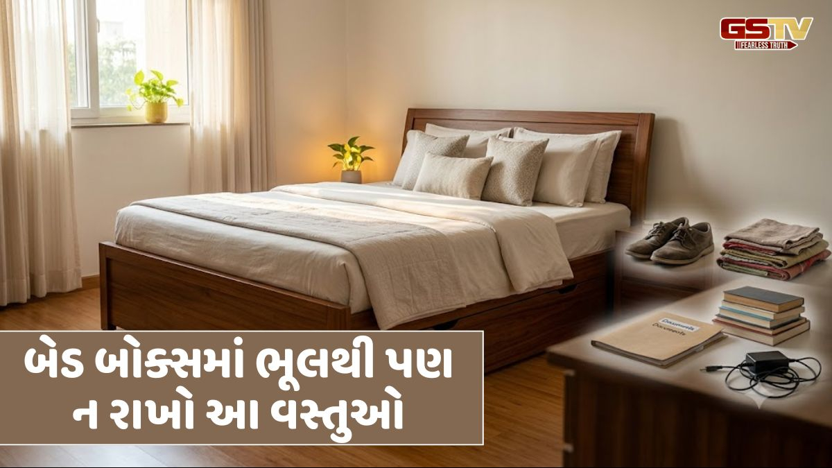 Vastu Tips: બેડ બોક્સ કે ગાદલા નીચે ભૂલથી પણ ન રાખો આ 5 વસ્તુઓ, નહીંતર થઈ જશો કંગાળ!