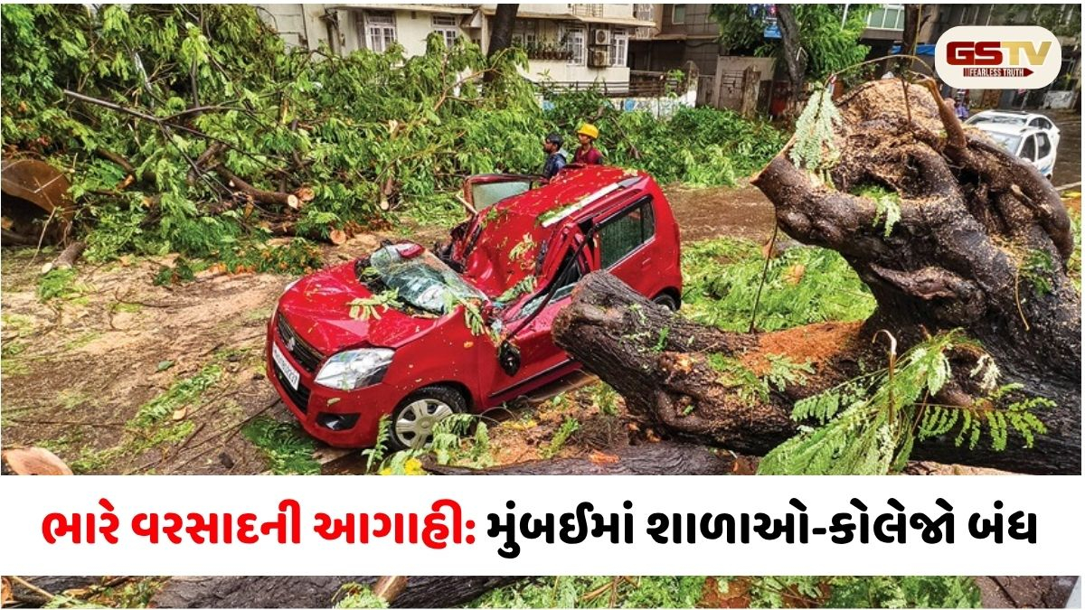 મુંબઈમાં ભારે વરસાદની આગાહી વચ્ચે થાણે અને નવી મુંબઈમાં શૈક્ષણિક સંસ્થાઓ બંધ, જોખમી ઈમારતો ખાલી કરવા આદેશ