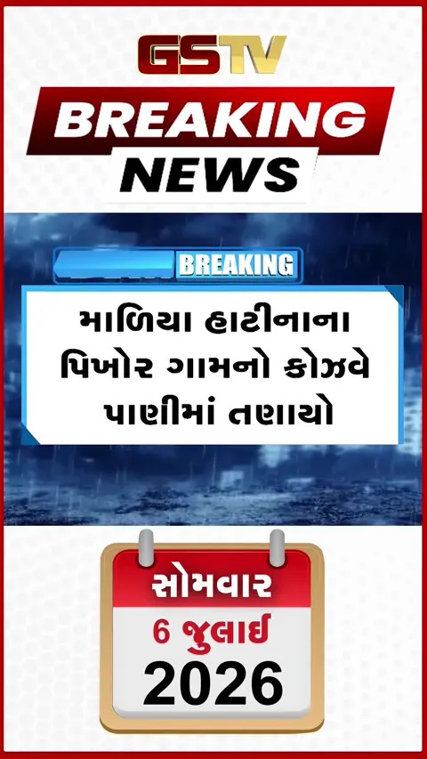 VIDEO: માળીયા હાટીનાના પિખોર ગામમાં કોઝવે તણાયો: સંપર્ક કપાઈ જતા ગ્રામજનો અને ખેડૂતો ભારે મુશ્કેલીમાં