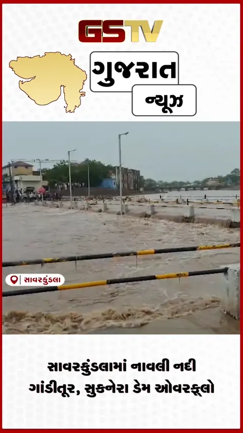VIDEO: સાવરકુંડલામાં નાવલી નદી ગાંડીતૂર, સુકનેરા ડેમ ઓવરફ્લો