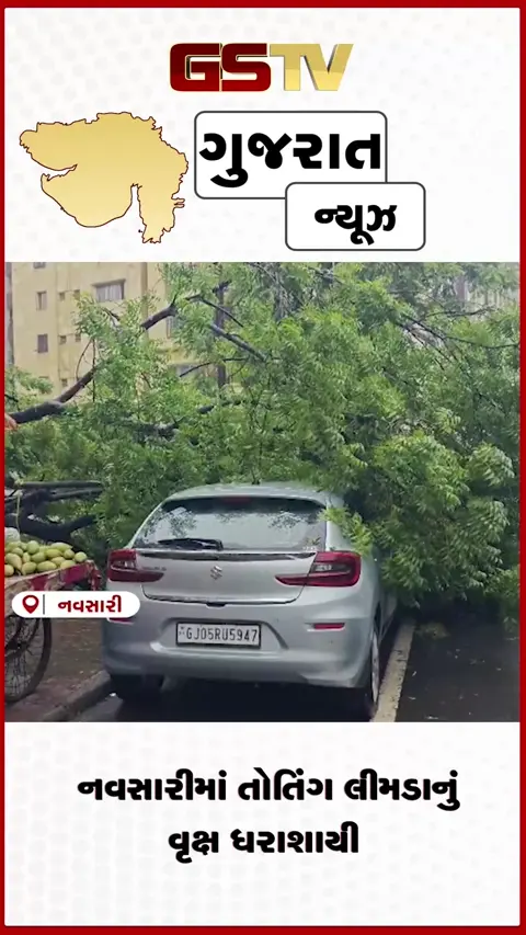 VIDEO: નવસારીમાં મોડી રાત્રે તોતિંગ વૃક્ષ ધરાશાયી થતા કારનો કચ્ચરઘાણ