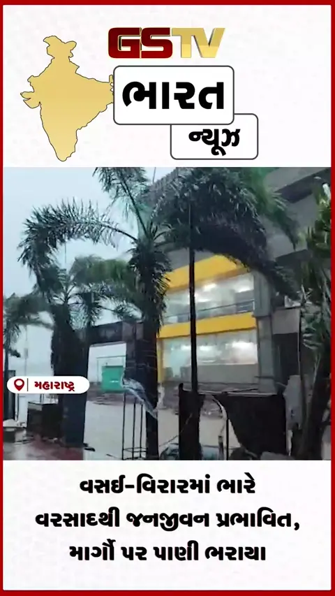 VIDEO: વસઈ વિરારમાં ભારે વરસાદથી લિંક રોડ અને સ્ટેશન રોડ જળબંબાકાર બન્યા