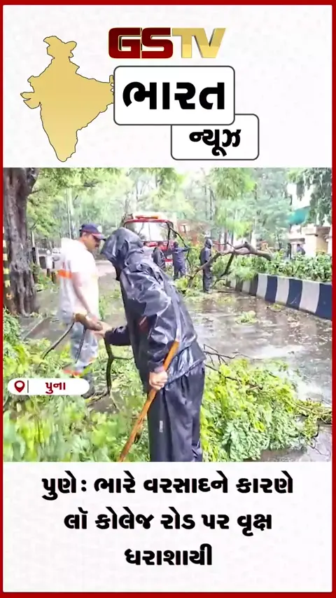 VIDEO: પુણે: ભારે વરસાદને કારણે લૉ કોલેજ રોડ પર વૃક્ષ ધરાશાયી