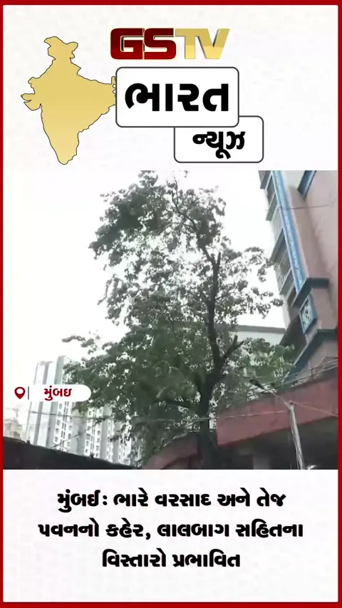 VIDEO: મુંબઈ: ભારે વરસાદ અને તેજ પવનનો કહેર, લાલબાગ સહિતના વિસ્તારો પ્રભાવિત