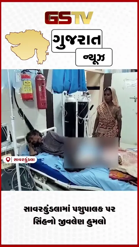 VIDEO: અમરેલીના સાવરકુંડલાના ઠવી ગામે સિંહનો પશુપાલક પર હુમલો