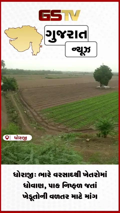 VIDEO: ધોરાજીમાં મેઘ કહેર: ૬ ઈંચ વરસાદથી ખેતરો બેટમાં ફેરવાયા, ખેડૂતોની મહેનત પાણીમાં