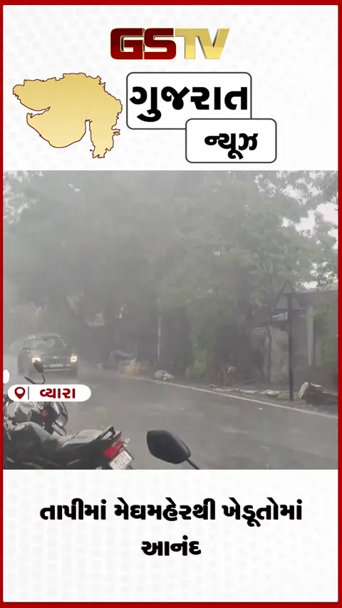 VIDEO: તાપી જીલ્લામાં વરસાદી માહોલ છવાયો, ખરીફ પાકને ફાયદો થયો