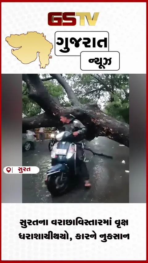 VIDEO: સુરતના વરાછા વિસ્તારમાં વૃક્ષ ધરાશાયી થયો, કારને નુકસાન