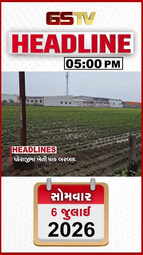 VIDEO: HEADLINE 5.00 PM / ધોરાજીમાં ભારે વરસાદમાં ખેતીનો પાક ધોવાયો, સુરતમાં પ્રીમોન્સૂન કામગીરી પોકળ