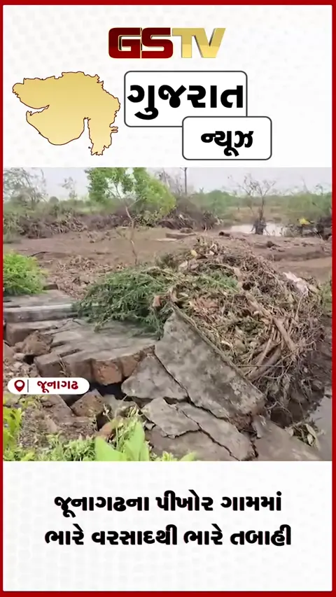VIDEO: જૂનાગઢના પીખોર ગામમાં ભારે વરસાદથી ભારે તબાહી