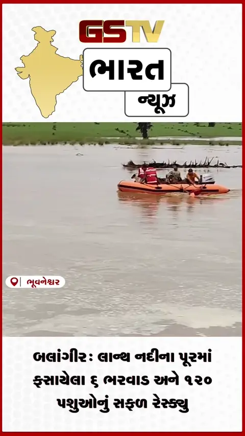 VIDEO: બલાંગીર: લાન્થ નદીના પૂરમાં ફસાયેલા ૬ ભરવાડ અને ૧૨૦ પશુઓનું સફળ રેસ્ક્યુ