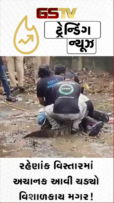 VIDEO: VIRAL/ રહેણાંક વિસ્તારમાં અચાનક આવી ચડ્યો વિશાળકાય મગર! વીડિયો જોઈ ઉડી જશે હોશ
