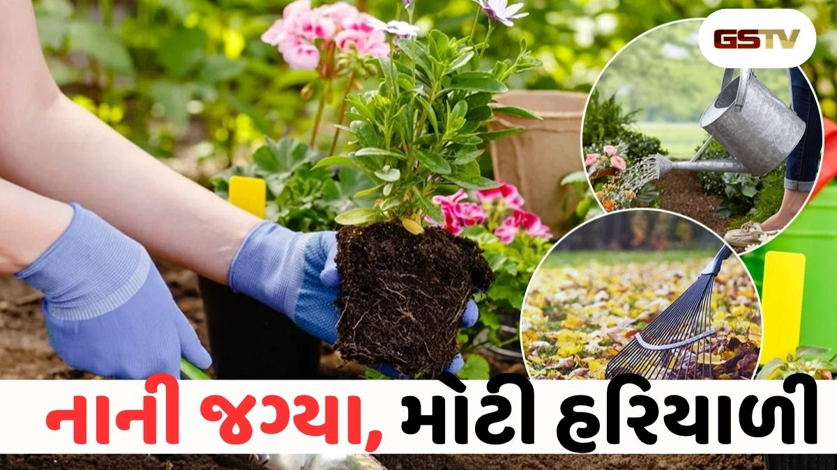 ઓછી જગ્યામાં સુંદર બગીચો: શહેરી બાગકામ ટિપ્સ