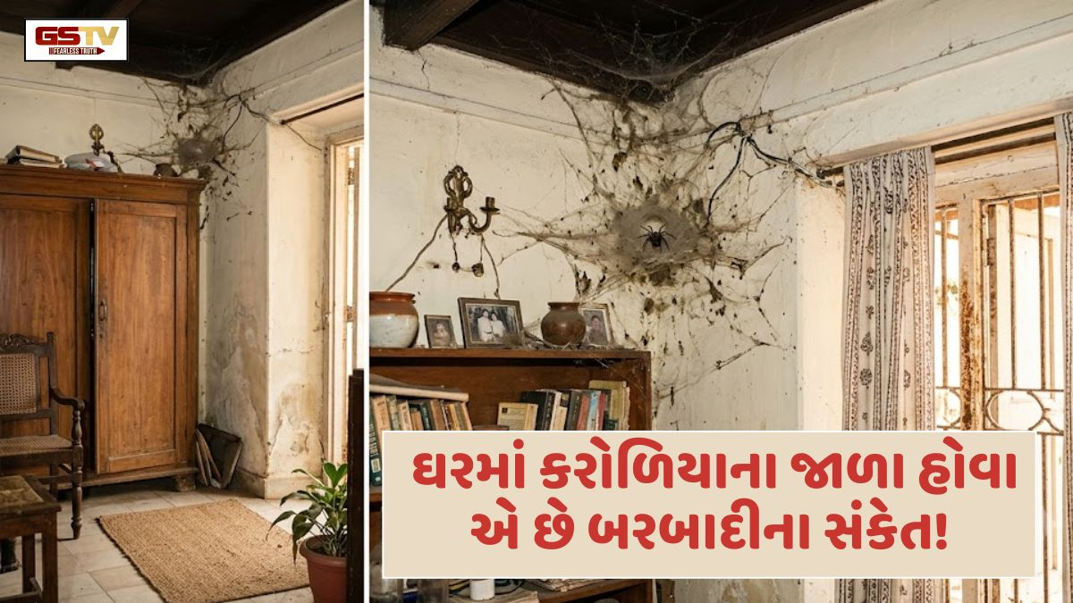 Vastu Tips: ઘરમાં કરોળિયાના જાળા હોવા એ માત્ર ગંદકી નહીં પણ બરબાદીના સંકેત, ભૂલથી પણ આ 5 જગ્યાઓ નજરઅંદાજ ન કરતા