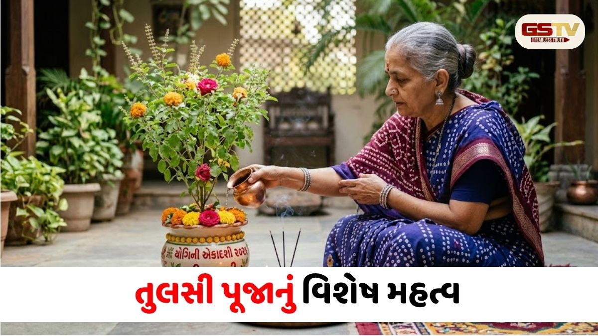 Yogini Ekadashi 2026: યોગિની એકાદશી પર તુલસીના આ સરળ ઉપાયો ખોલી નાખશે ભાગ્યના બંધ દરવાજા, જાણો સાચી વિધિ