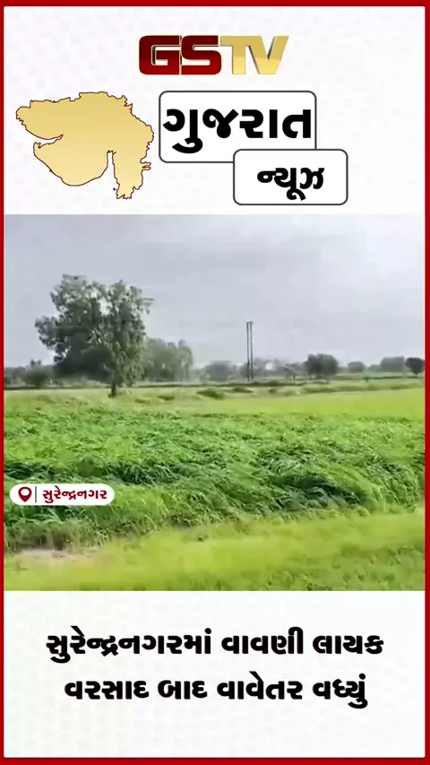 VIDEO: સુરેન્દ્રનગરમાં વાવણી લાયક વરસાદ બાદ વાવેતર વધ્યું