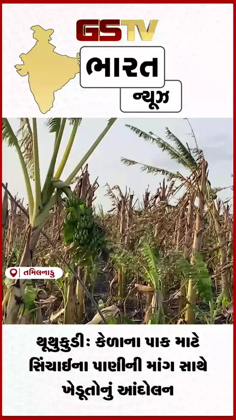 VIDEO: થૂથુકુડી: કેળાના પાક માટે સિંચાઈના પાણીની માંગ સાથે ખેડૂતોનું આંદોલન