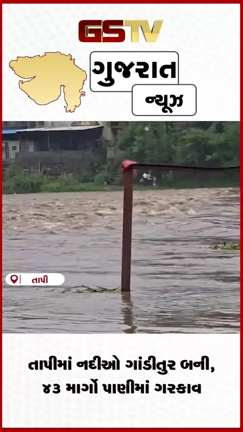 VIDEO: તાપીમાં નદીઓ ગાંડીતુર બની, 43 માર્ગો પાણીમાં ગરકાવ